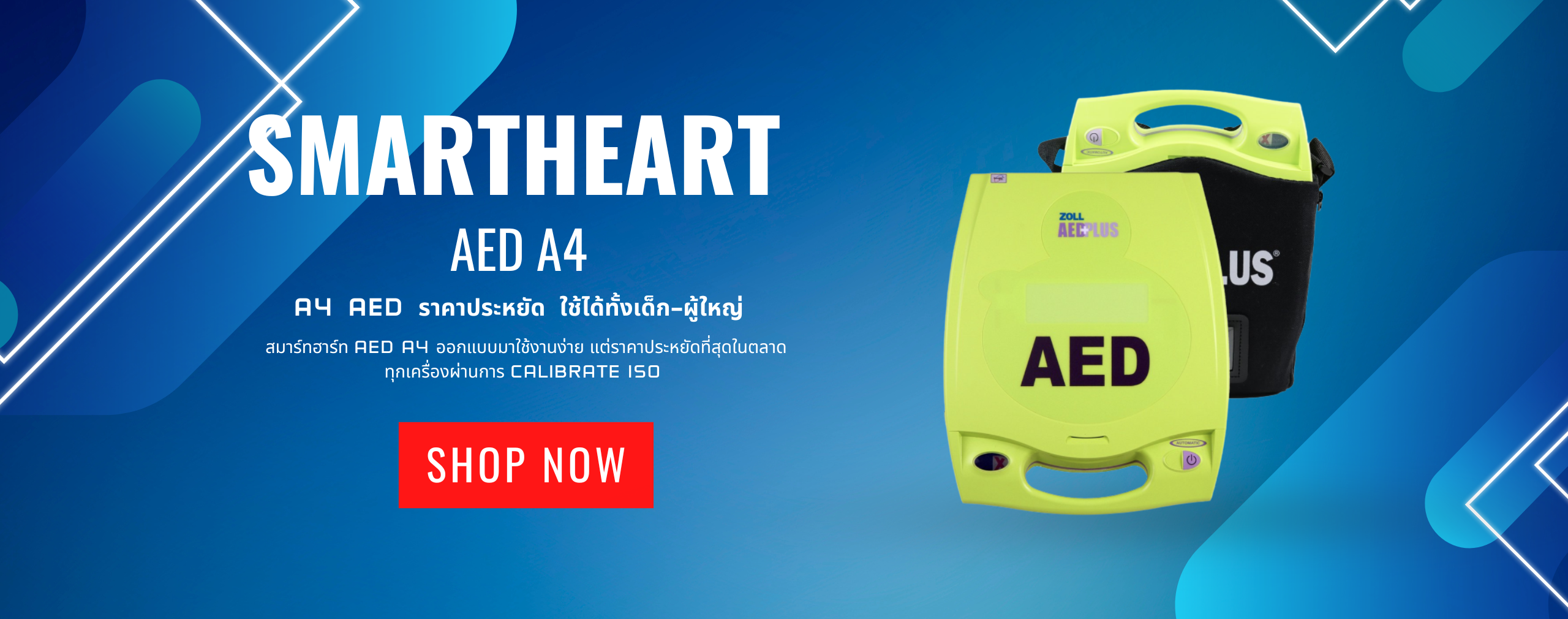 aedS (1)